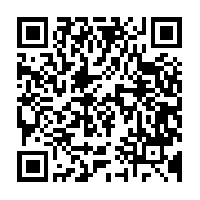 Qrcode 22213695